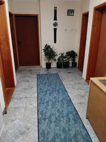 Privatni Smestaj Dobri Dobrosin エクステリア 写真