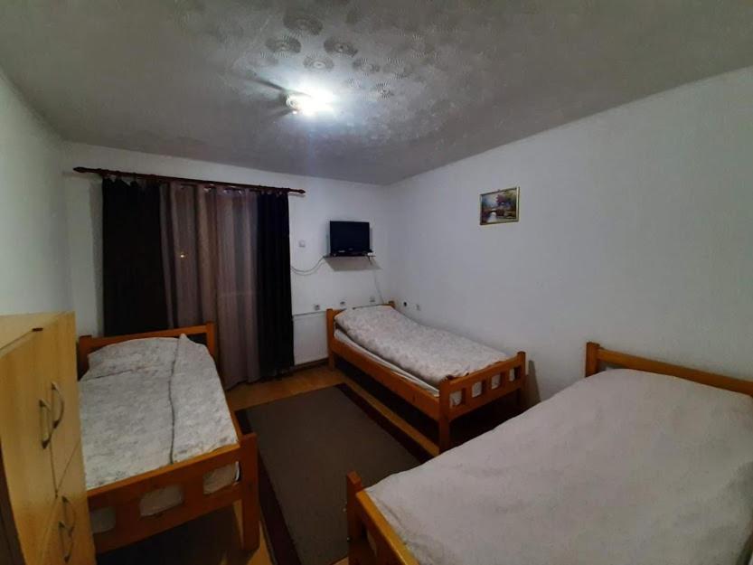 Privatni Smestaj Dobri Dobrosin エクステリア 写真